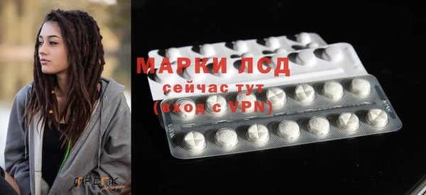 PSILOCYBIN Струнино