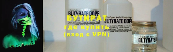 сатива Бородино