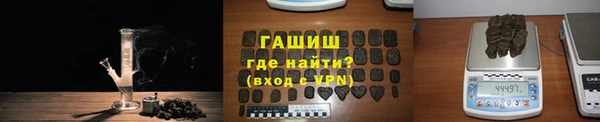 прущие грибы Беломорск