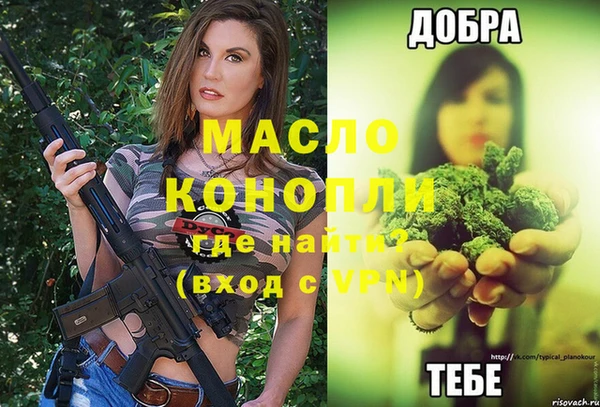 сатива Бородино