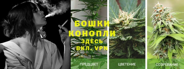 apvp Бугульма