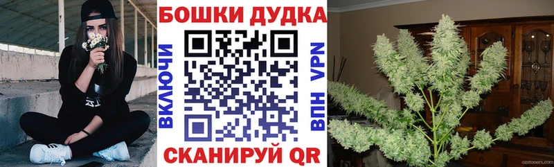 блэк спрут tor  Зима  Конопля Ganja  где купить наркотик 